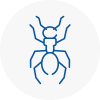 Ant Removals In Runcorn