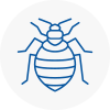 Bed Bug Extermination In Runcorn