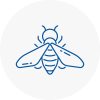 Bee Nest Removal Runcorn