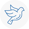 Bird Prevention Runcorn