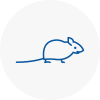 Mice Exterminators In Runcorn