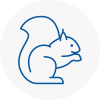 Runcorn Rodent Removals